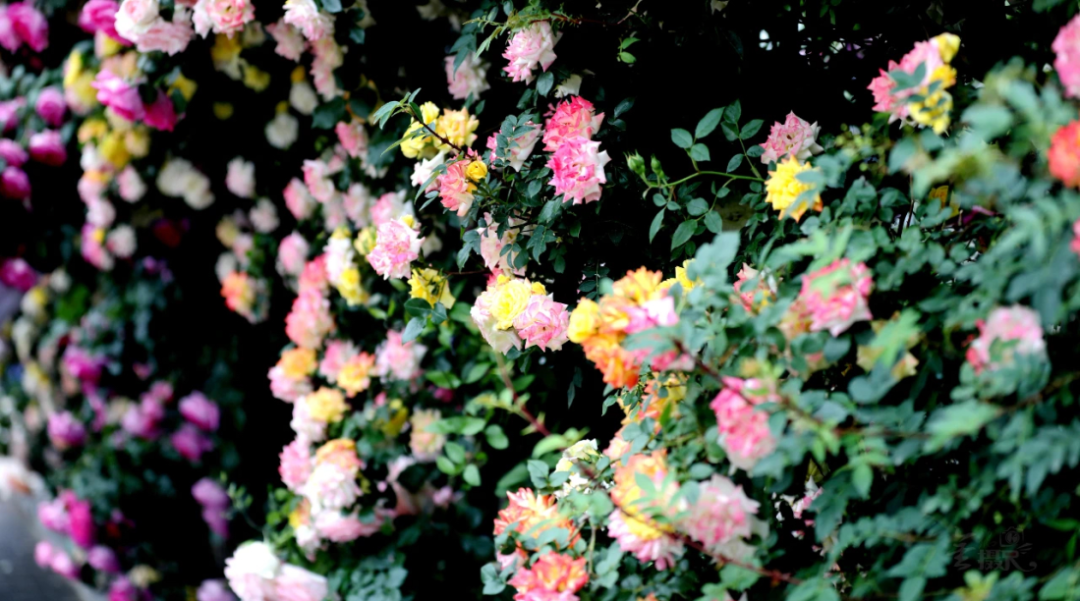 640 (9).png 640 (9).png