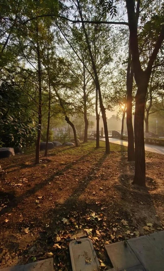 郑大秋季美景1.jpg 郑大秋季美景1.jpg