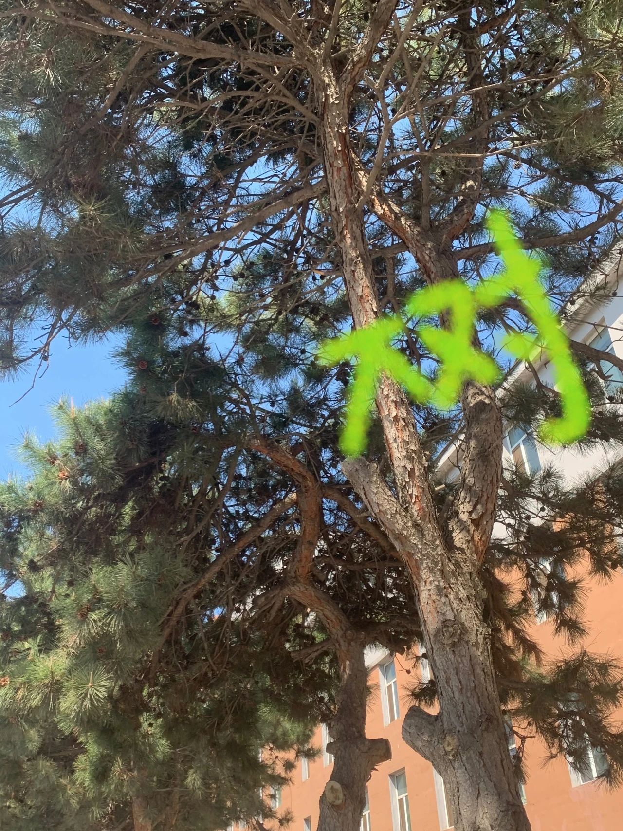 微信图片_20240509121841.jpg 微信图片_20240509121841.jpg