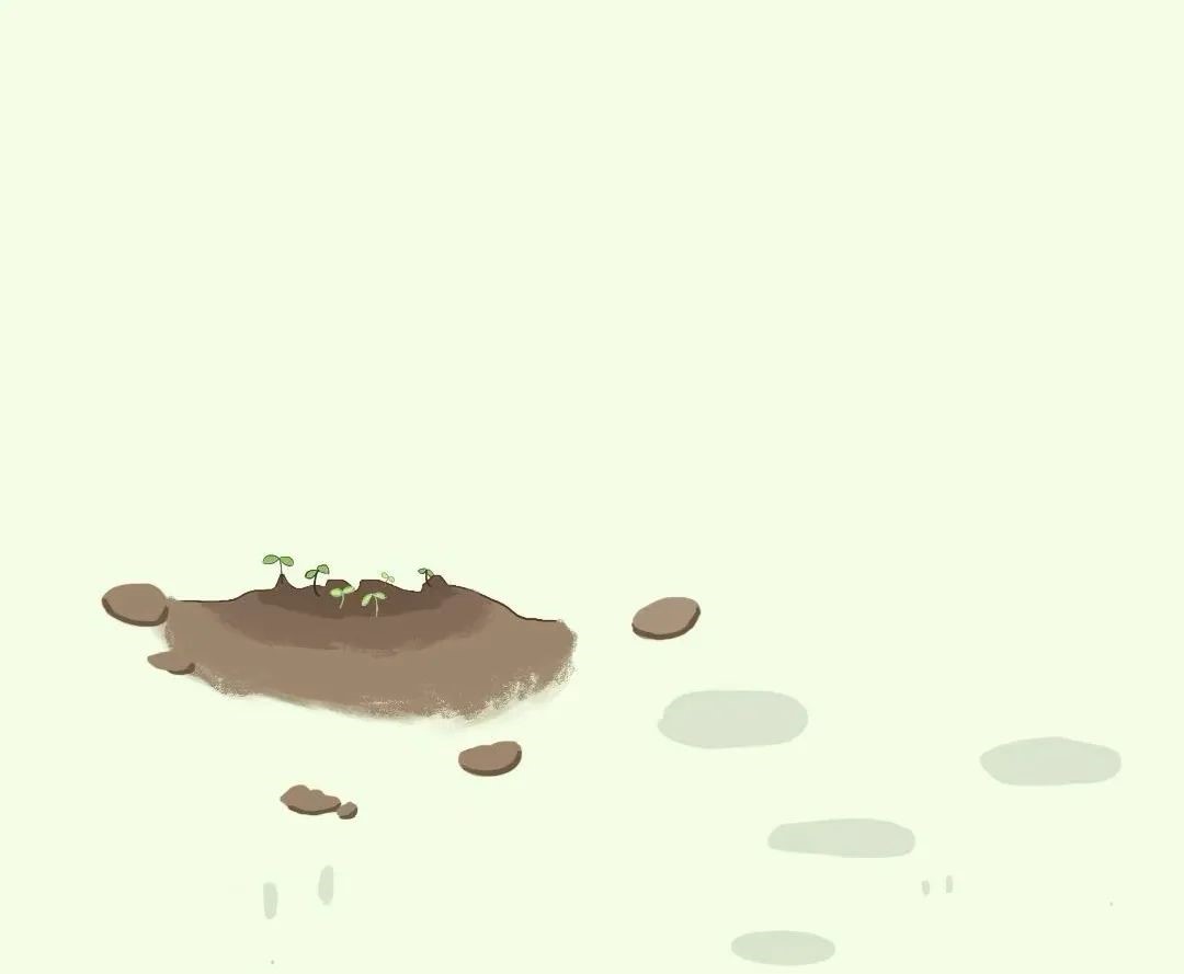 13。.jpg