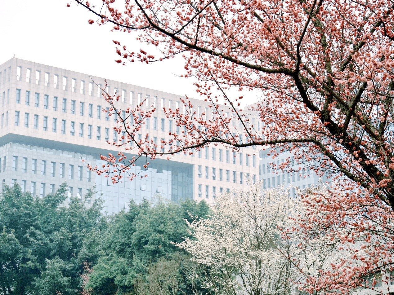 西南财经大学岁在癸卯柳湖春韵