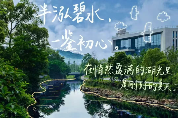 4.png 4.png