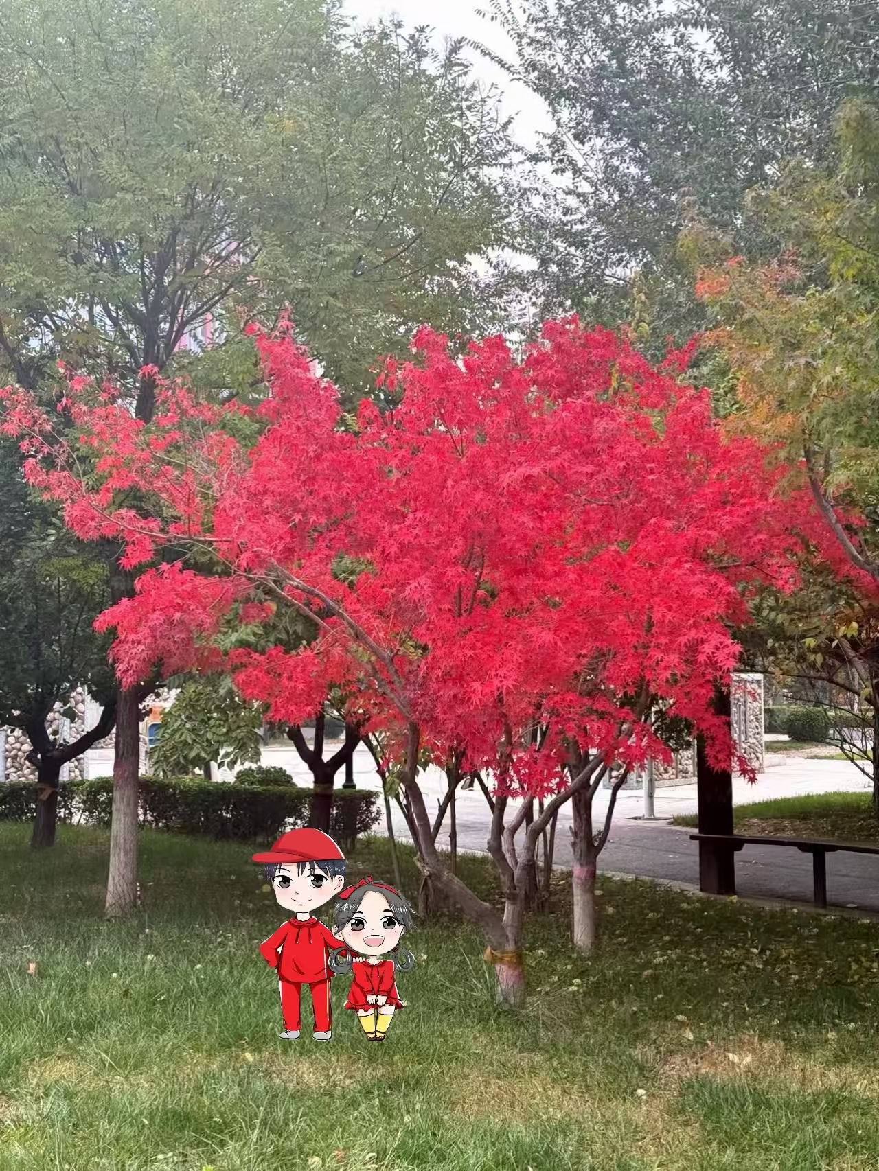 微信圖片_20250422174025.jpg