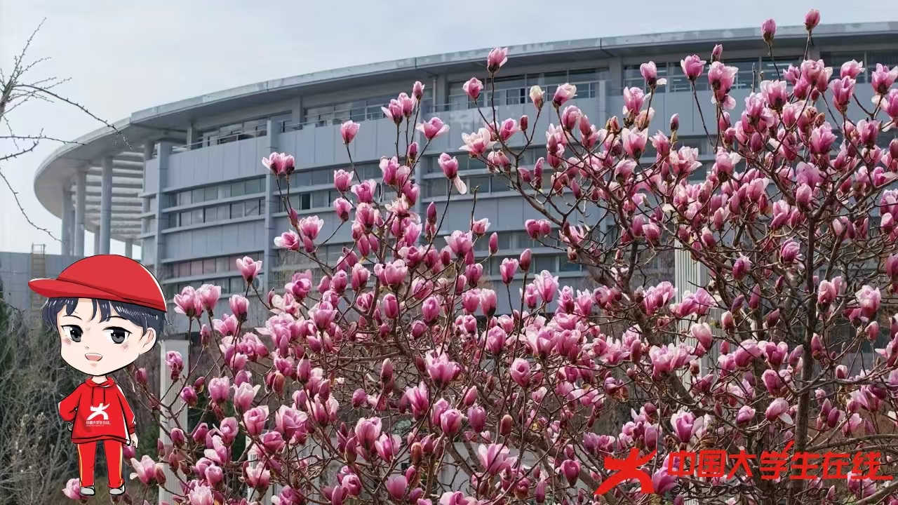 微信图片_20250314220157.jpg 微信图片_20250314220157.jpg