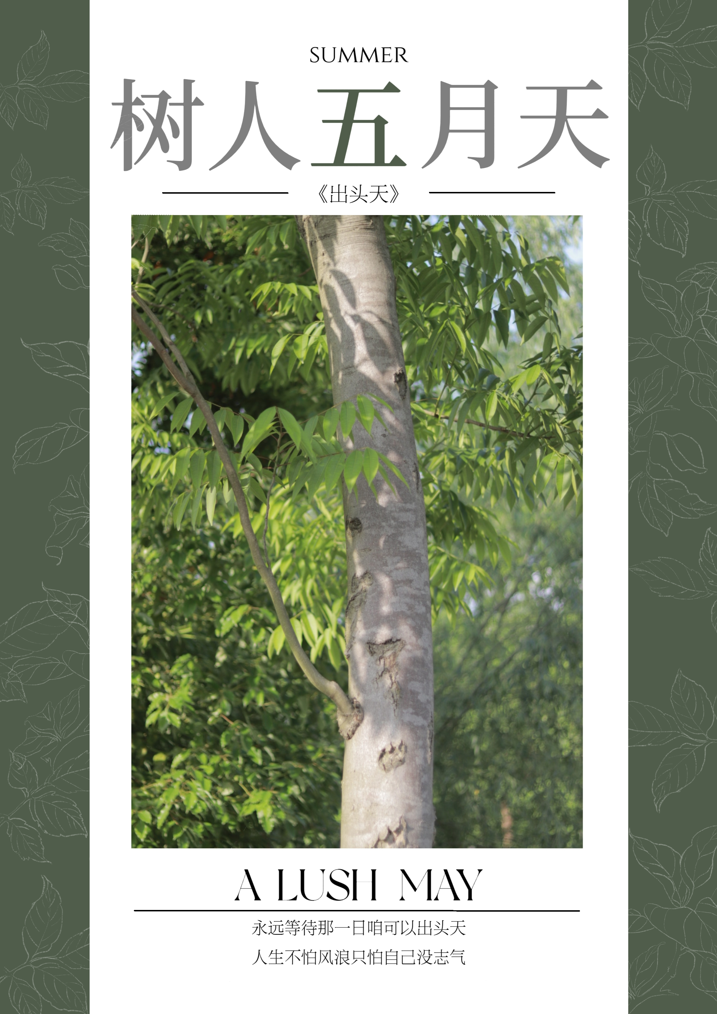 浙江树人学院的五月天