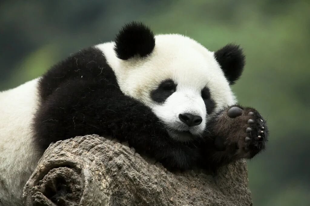 微信图片_2026-05-23_225100_553.jpg