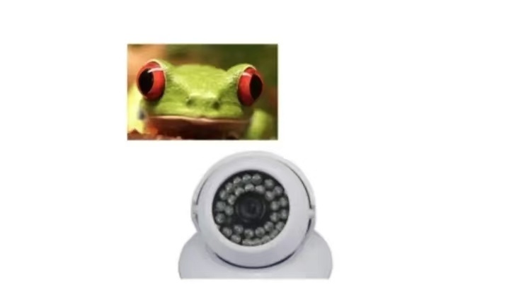 _cgi-bin_mmwebwx-bin_webwxgetmsgimg__&MsgID=7214086090120046402&skey=@crypt_a35f48c2_ae22995924ba941bbe0bb8471c4a198e&mmweb_appid=wx_webfilehelper.jfif