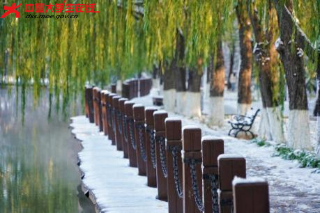 光把树影拉得好长
缝隙透出点点光斑

2023年11月6日拍摄的渤大雪景 。渤海大学 陶金 摄