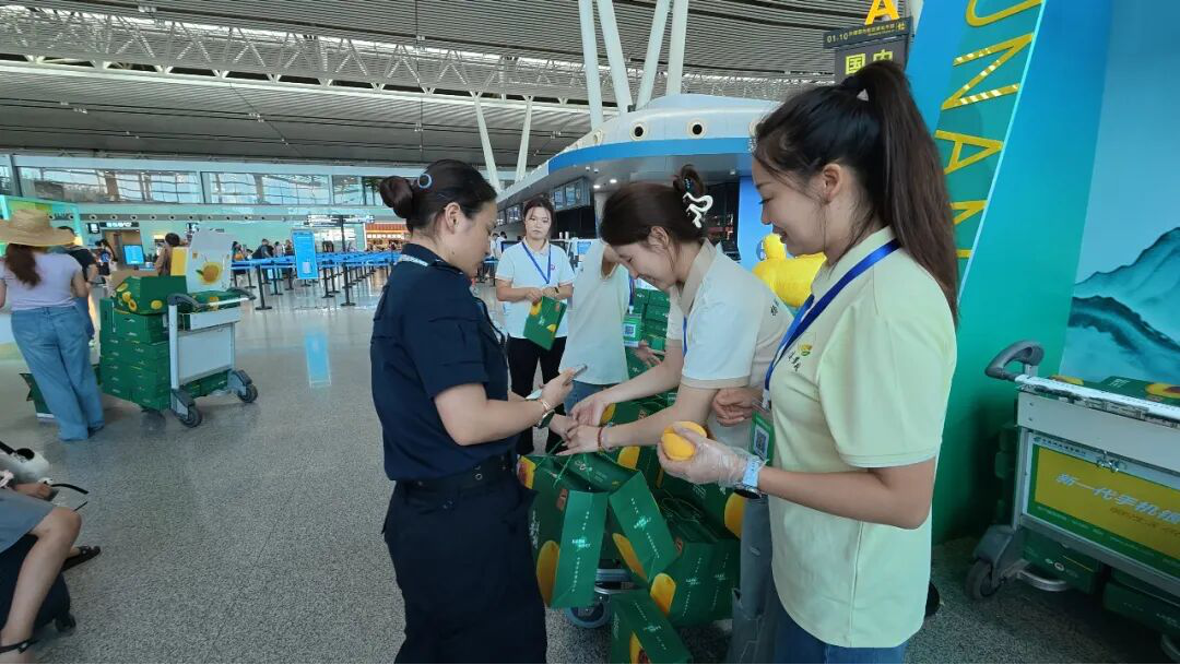 图片3.png 图片3.png