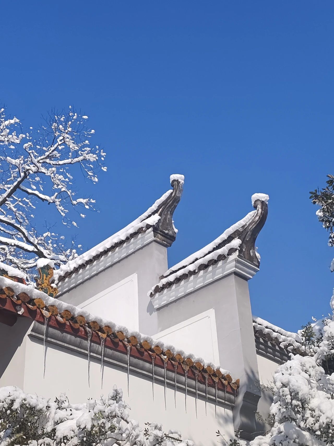腊月暮冬
（《书院·听雪·雪霁》  摄影者：2021级中国史硕士研究生 郝静娴)