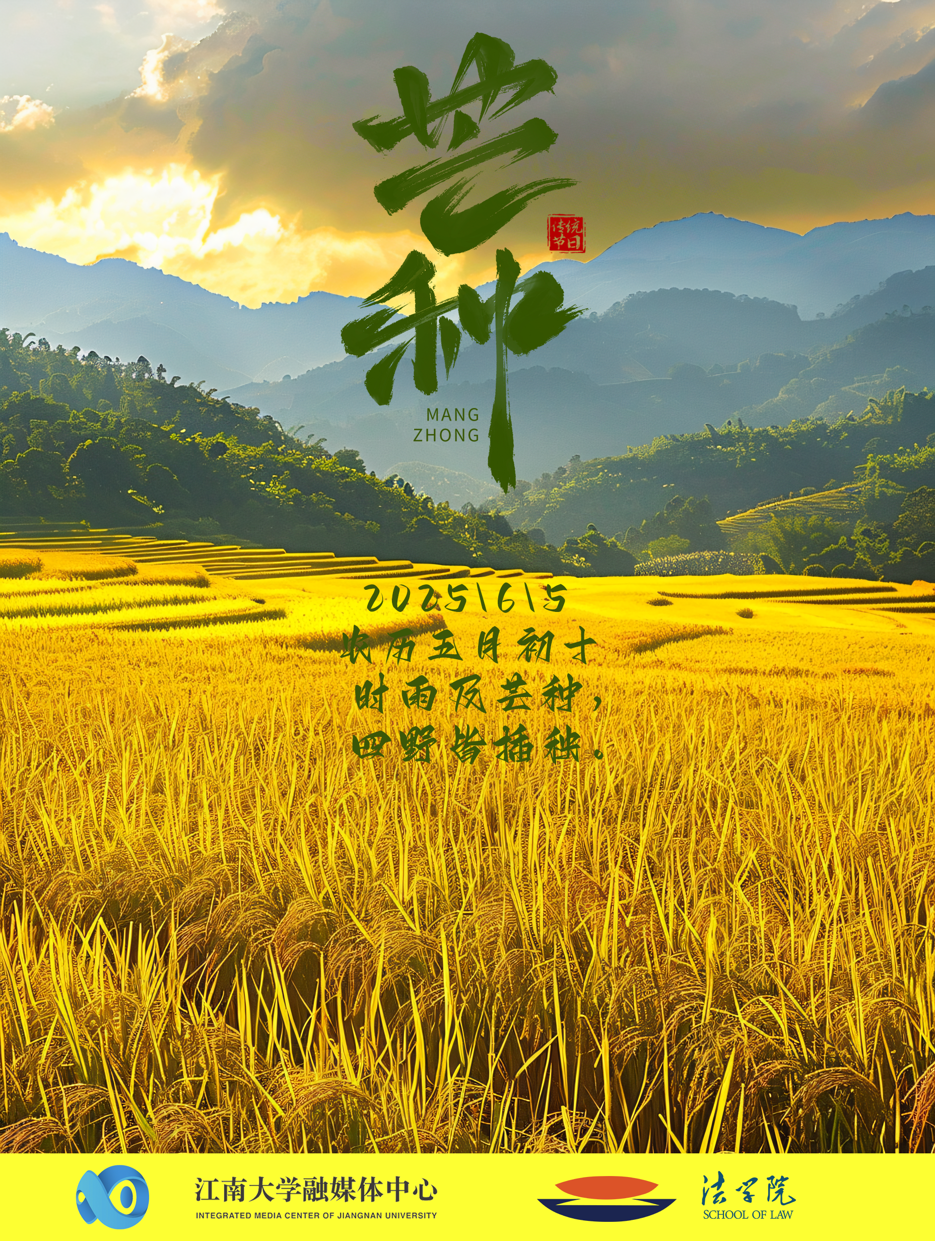 时雨及芒种，四野皆插秧（图片来源：江南大学）