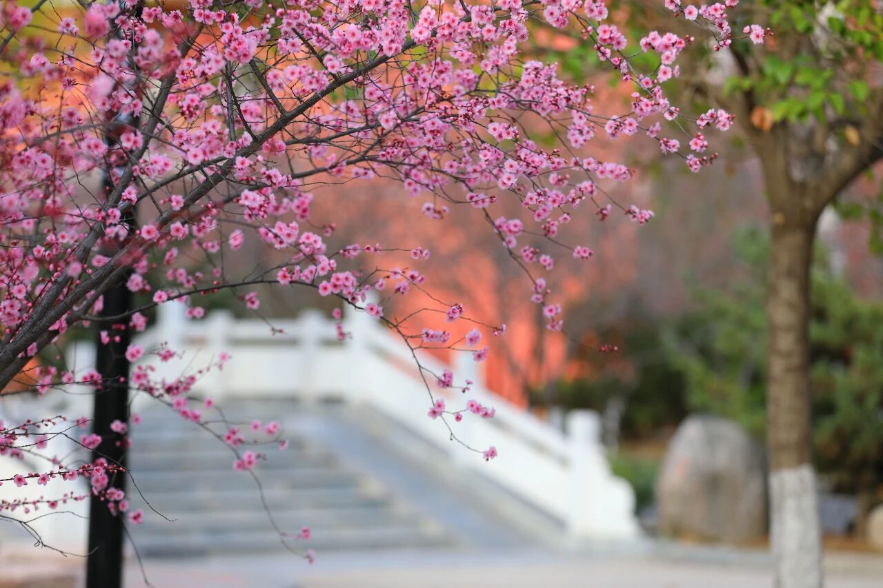 微信图片_2026-03-24_191000_484.jpg 微信图片_2026-03-24_191000_484.jpg