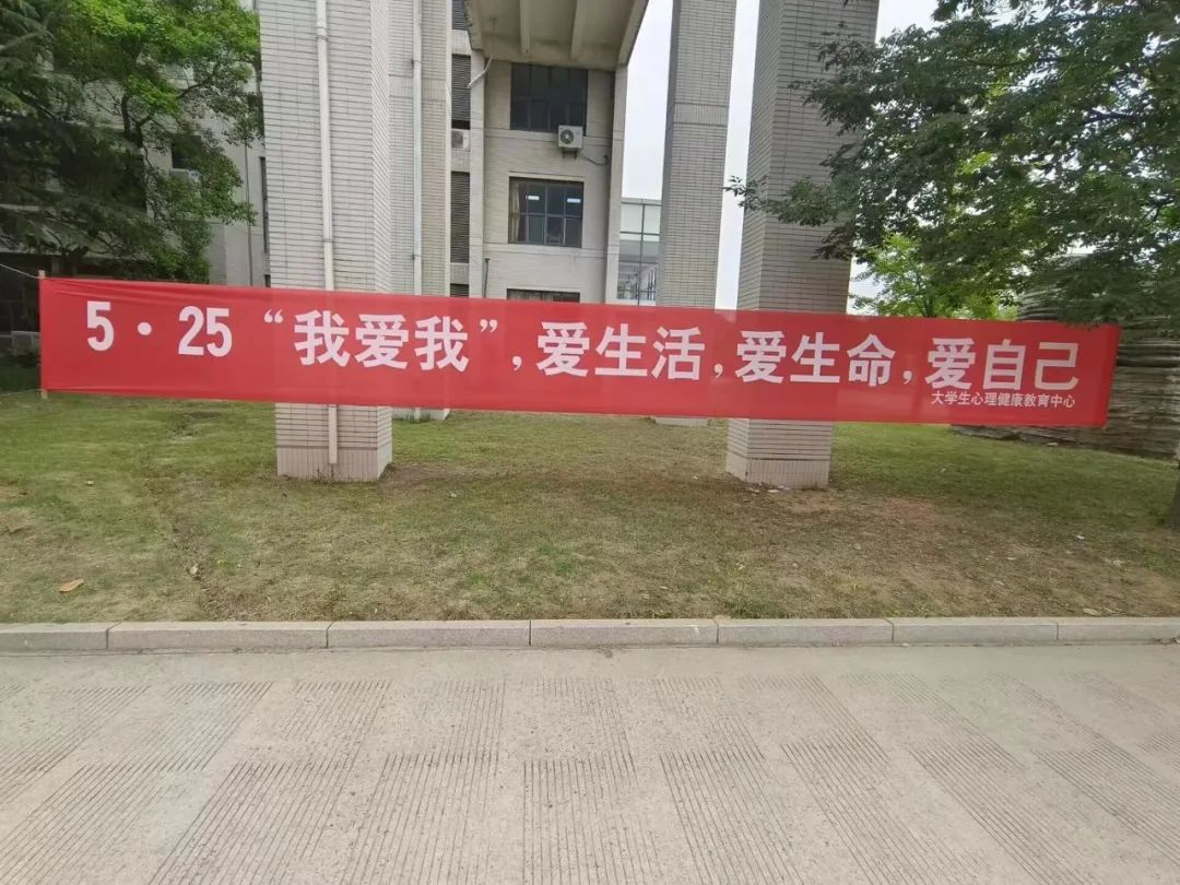 图片13.png 图片13.png