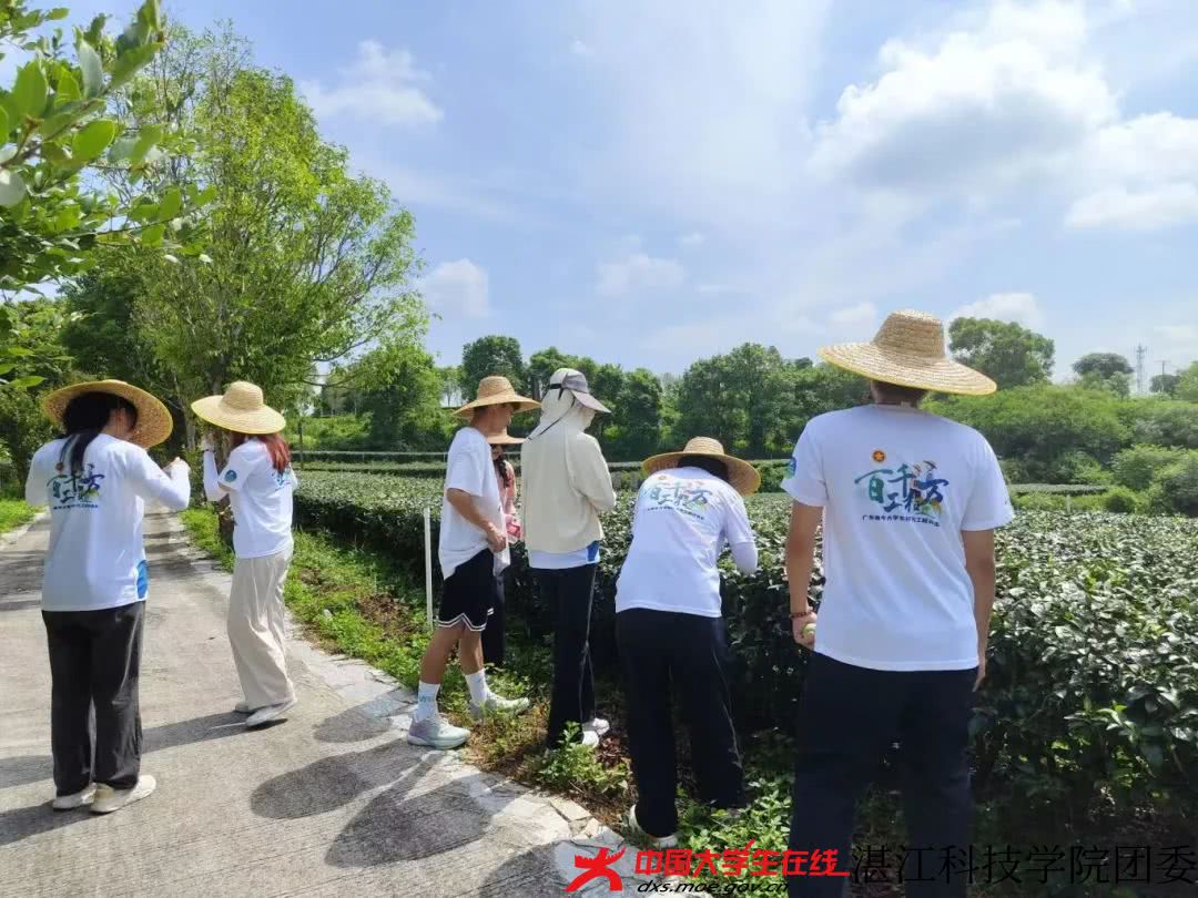 粤光.jpg 粤光.jpg
