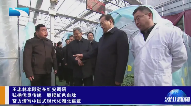 屏幕截图 2025-02-10 220058.png