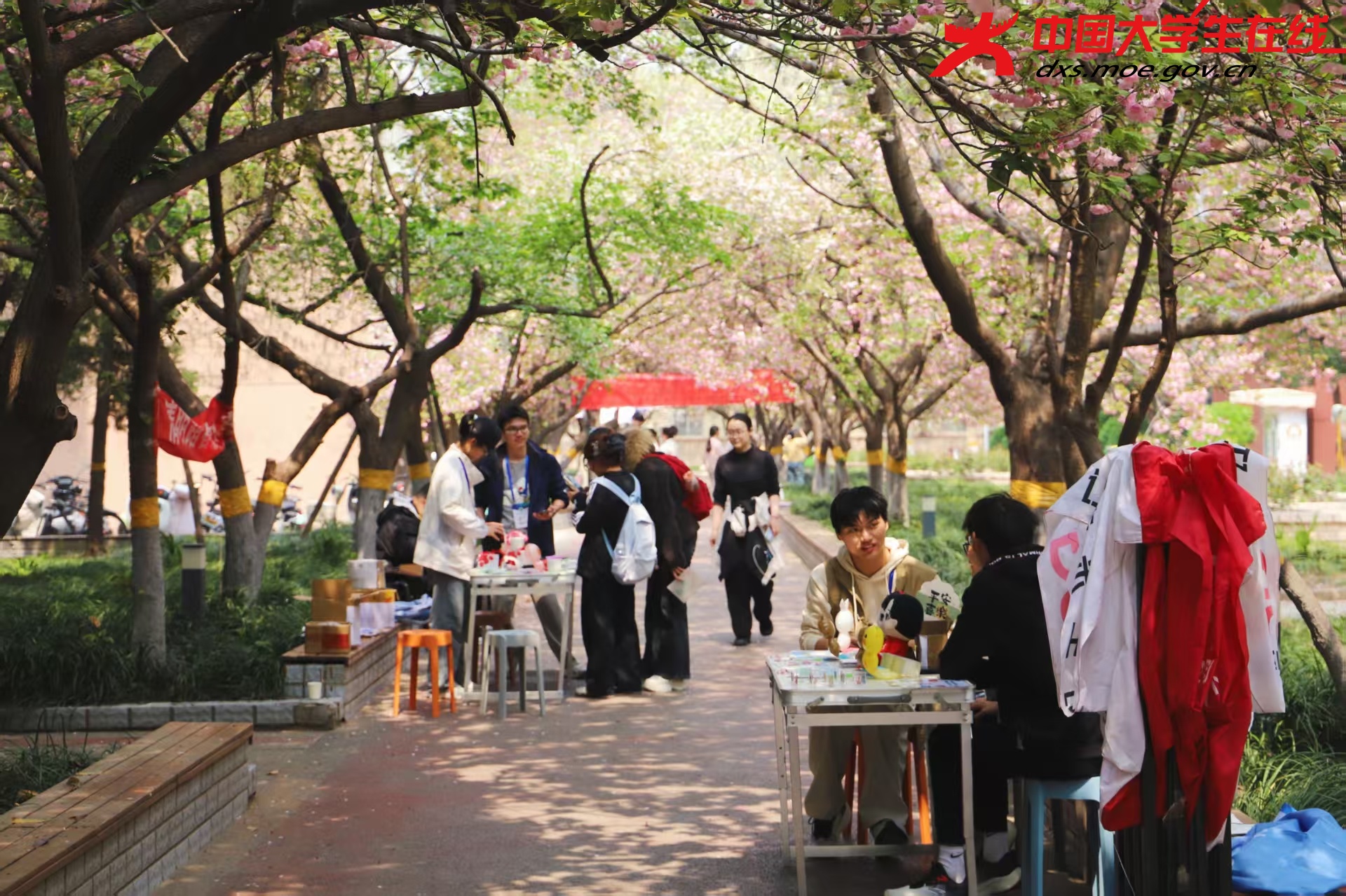 活动准备前期 来源：河南农业大学