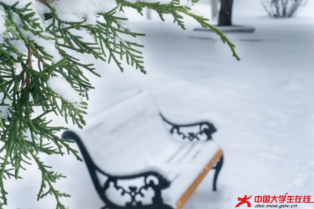 白雪皑皑。包蓉摄.jfif