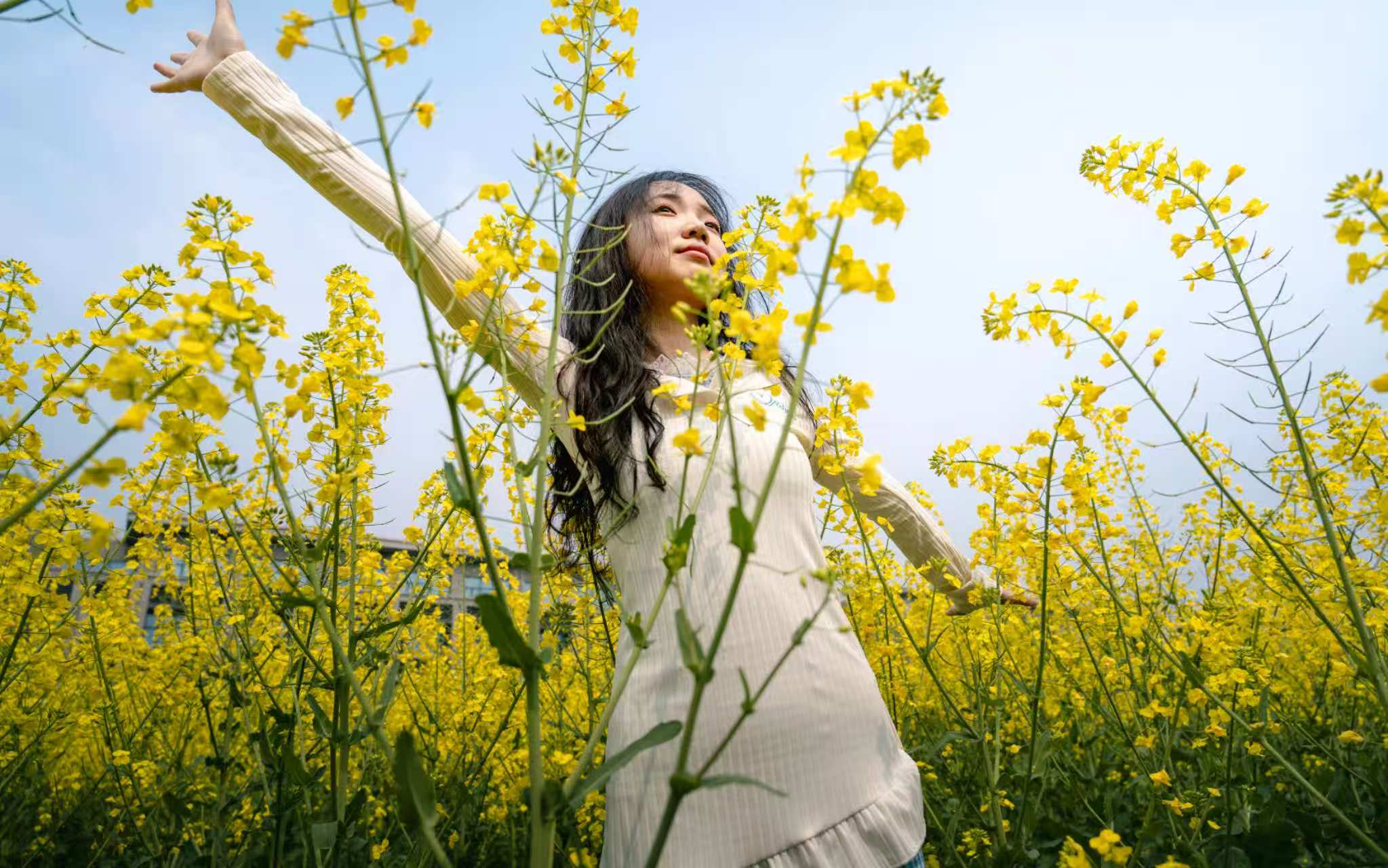 花海中的自由绽放：女孩置身于金黄灿烂的油菜花海，双臂舒展，仰头望向天空，仿佛与花海一同肆意绽放，满是对自然的热爱与自由的向往 。丁禹嘉/摄