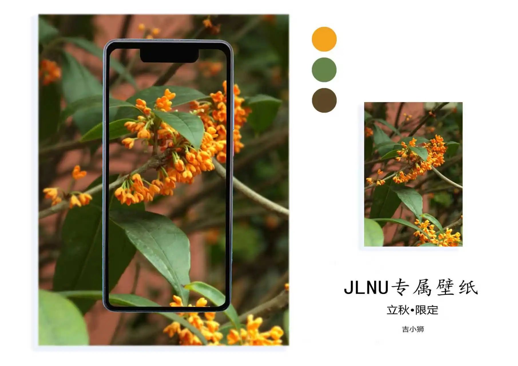 微信图片_20250807204120.jpg 微信图片_20250807204120.jpg