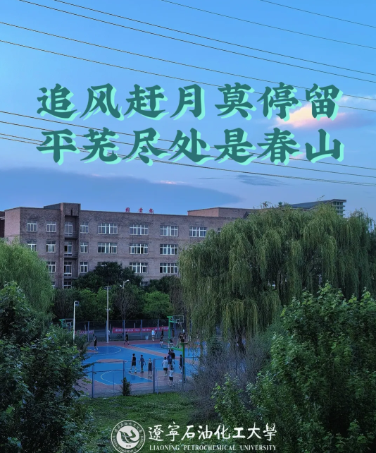 8.png