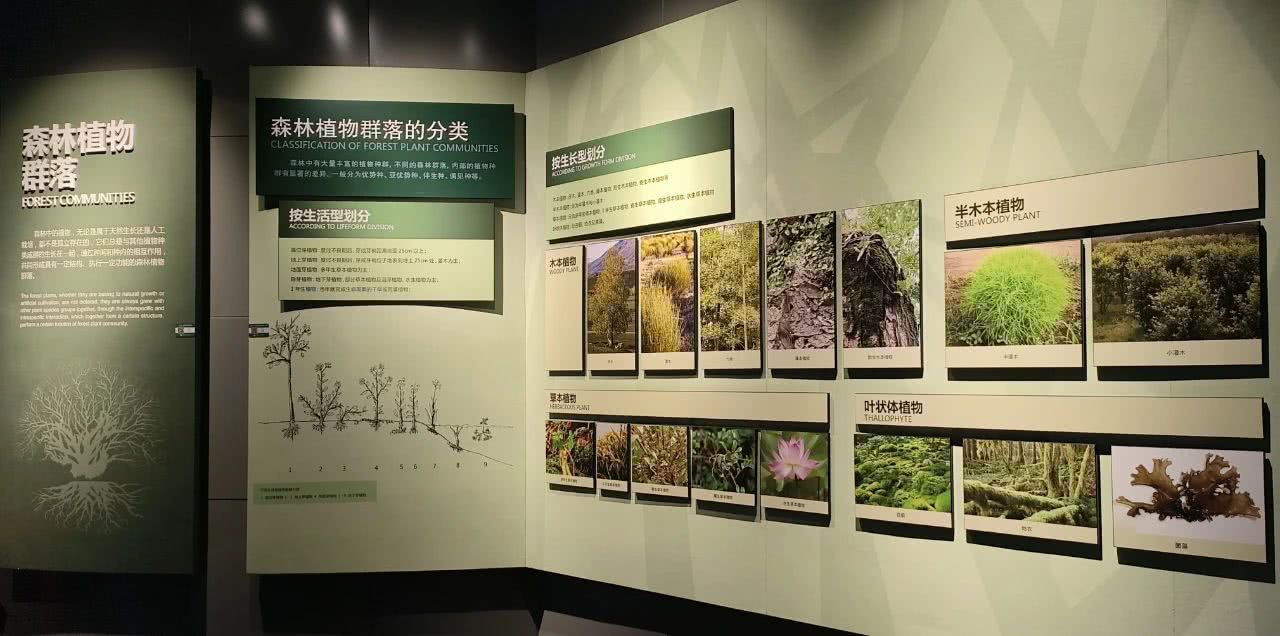 微信图片_20241207205613.jpg 微信图片_20241207205613.jpg
