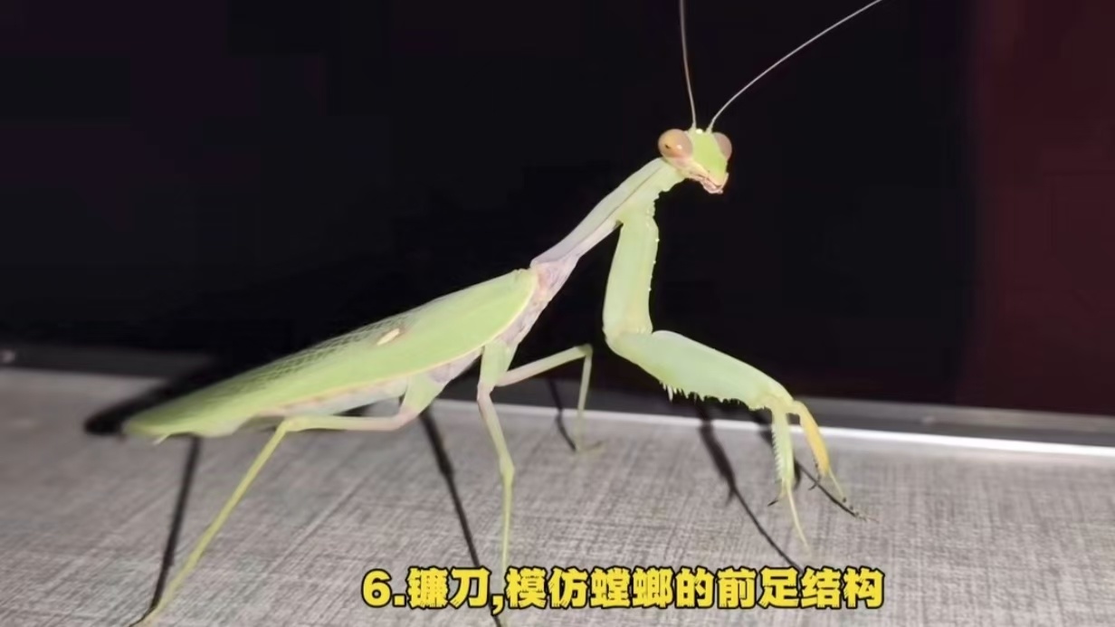 _cgi-bin_mmwebwx-bin_webwxgetmsgimg__&MsgID=8711631988721570307&skey=@crypt_a35f48c2_ae22995924ba941bbe0bb8471c4a198e&mmweb_appid=wx_webfilehelper.jfif