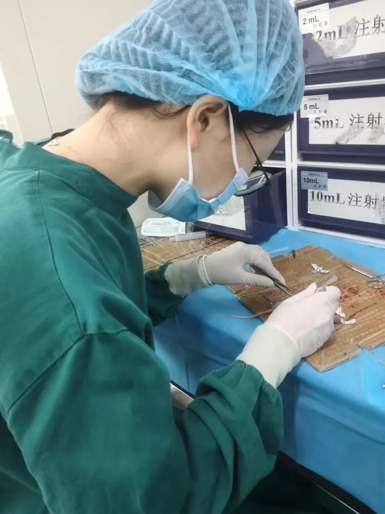 微信图片_2026-05-21_135443_617.jpg 微信图片_2026-05-21_135443_617.jpg