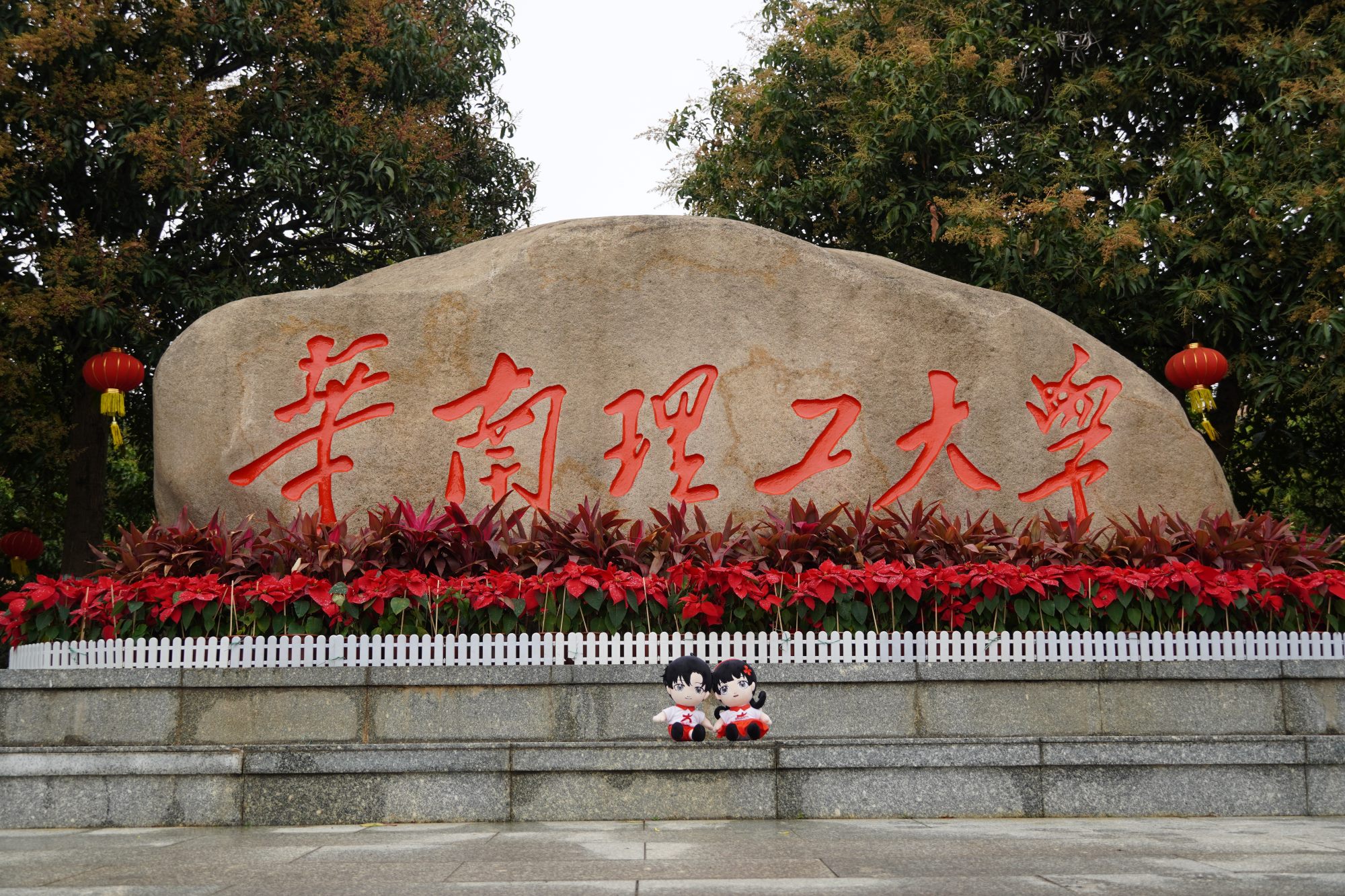 新校区.JPG