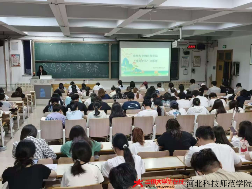图为爱鸟护鸟电影展现场，张琳若摄.jpg