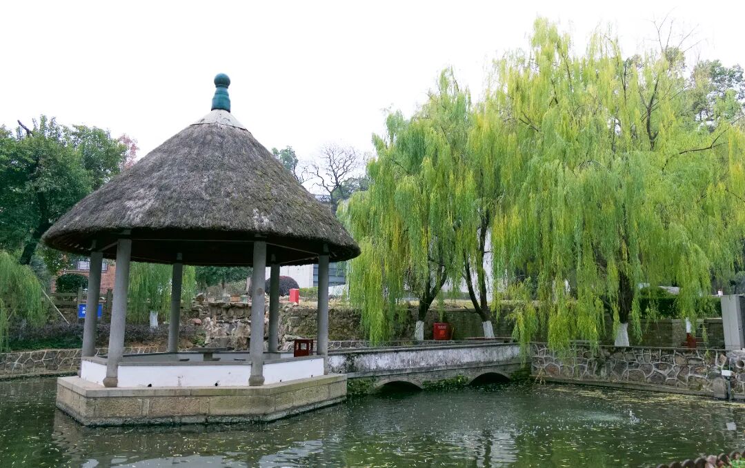 绿色湖大,你“植”得拥有!-33.jpg 绿色湖大,你“植”得拥有!-33.jpg