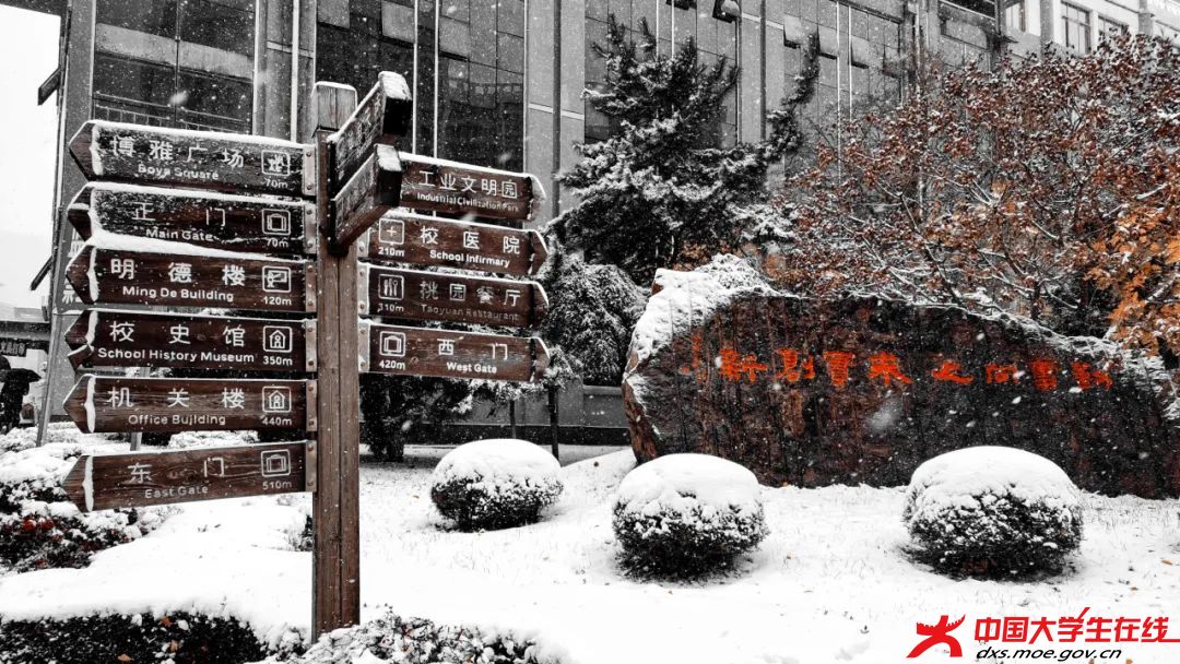 冰魄血魂。。王乔诗摄.jfif