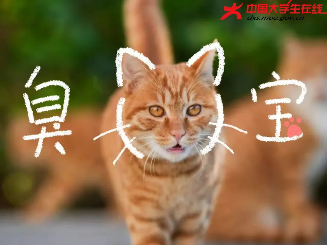 大橘学长来也  来源：河南农业大学