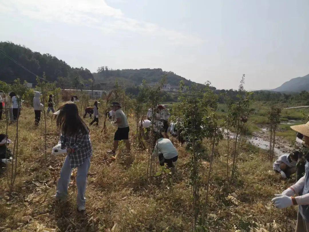 武昌理工學院1200餘名大學生到田間地頭上勞動課