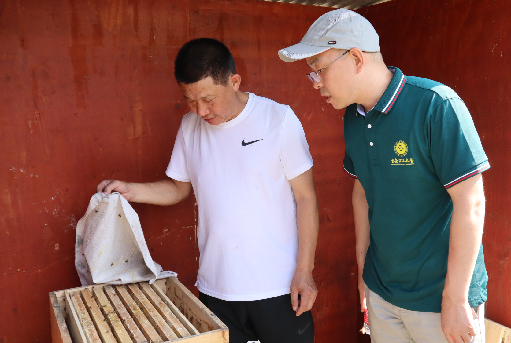 屏幕截图 2022-08-31 110516.png