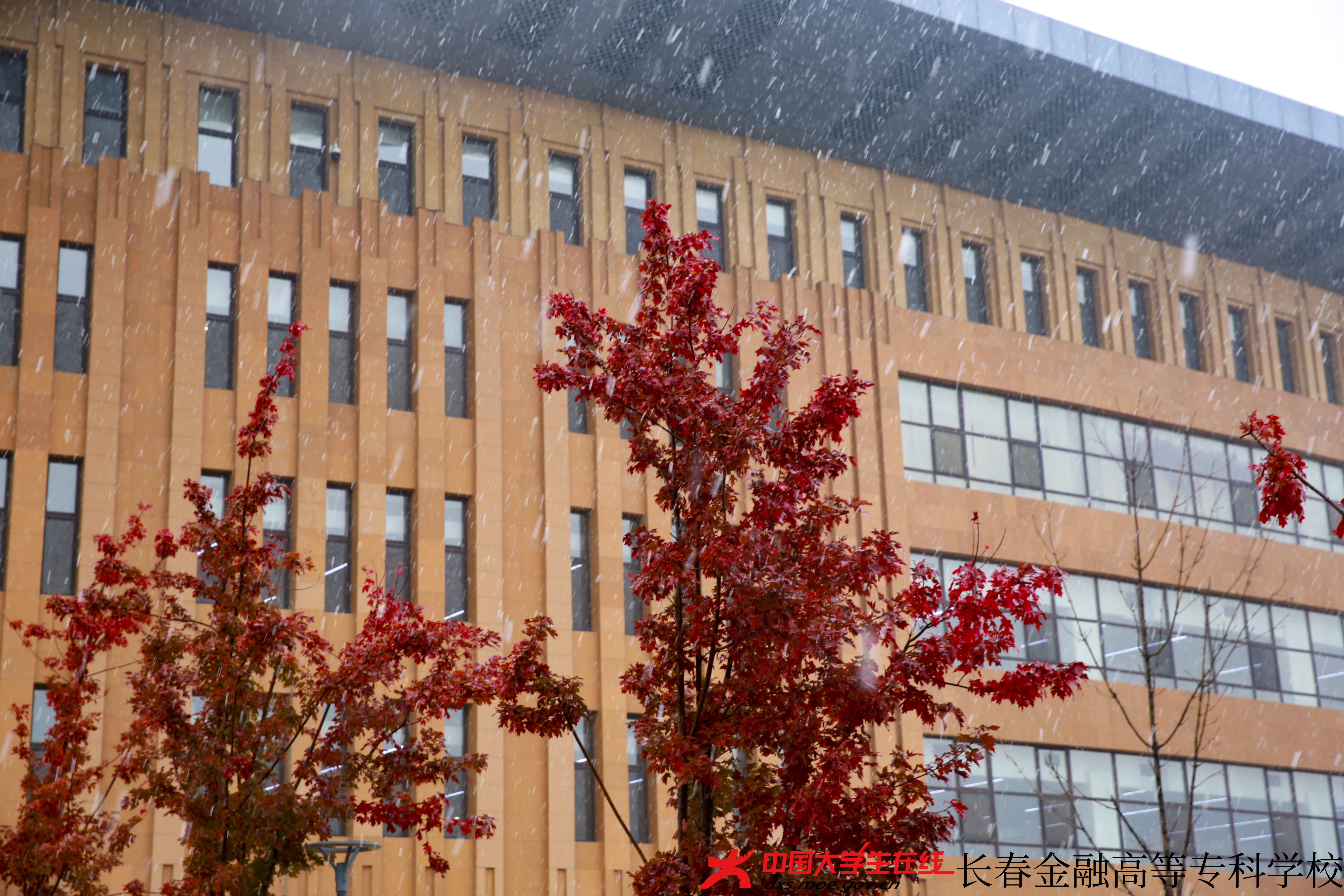 大学生记者团--金专初雪