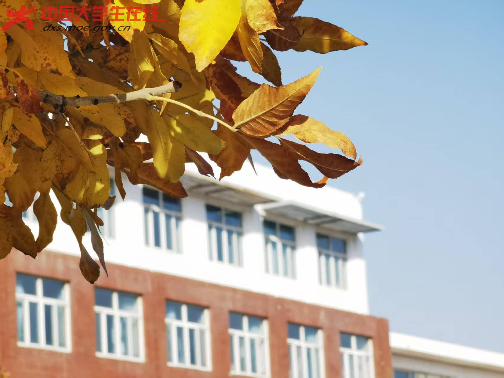 4c7478b3a4cb7fdb4bed351228d7a3be.jpg 4c7478b3a4cb7fdb4bed351228d7a3be.jpg