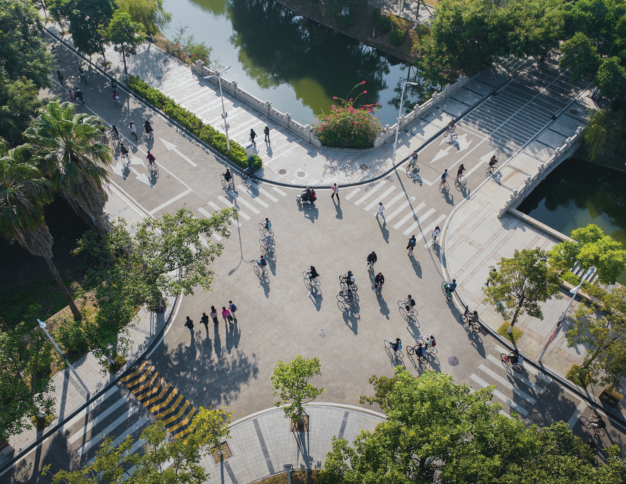 加号：或坐在图书馆的静谧角落里奋力汲取知识的力量，或在运动场上尽情感受运动的乐趣，或一次次投身志愿活动坚持传递爱与温暖……从春夏到秋冬，学子们“加”快成长的步伐，硕果累累。（摄影：杨跃）