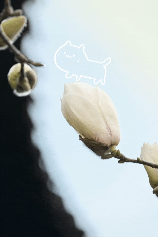 13.gif 13.gif