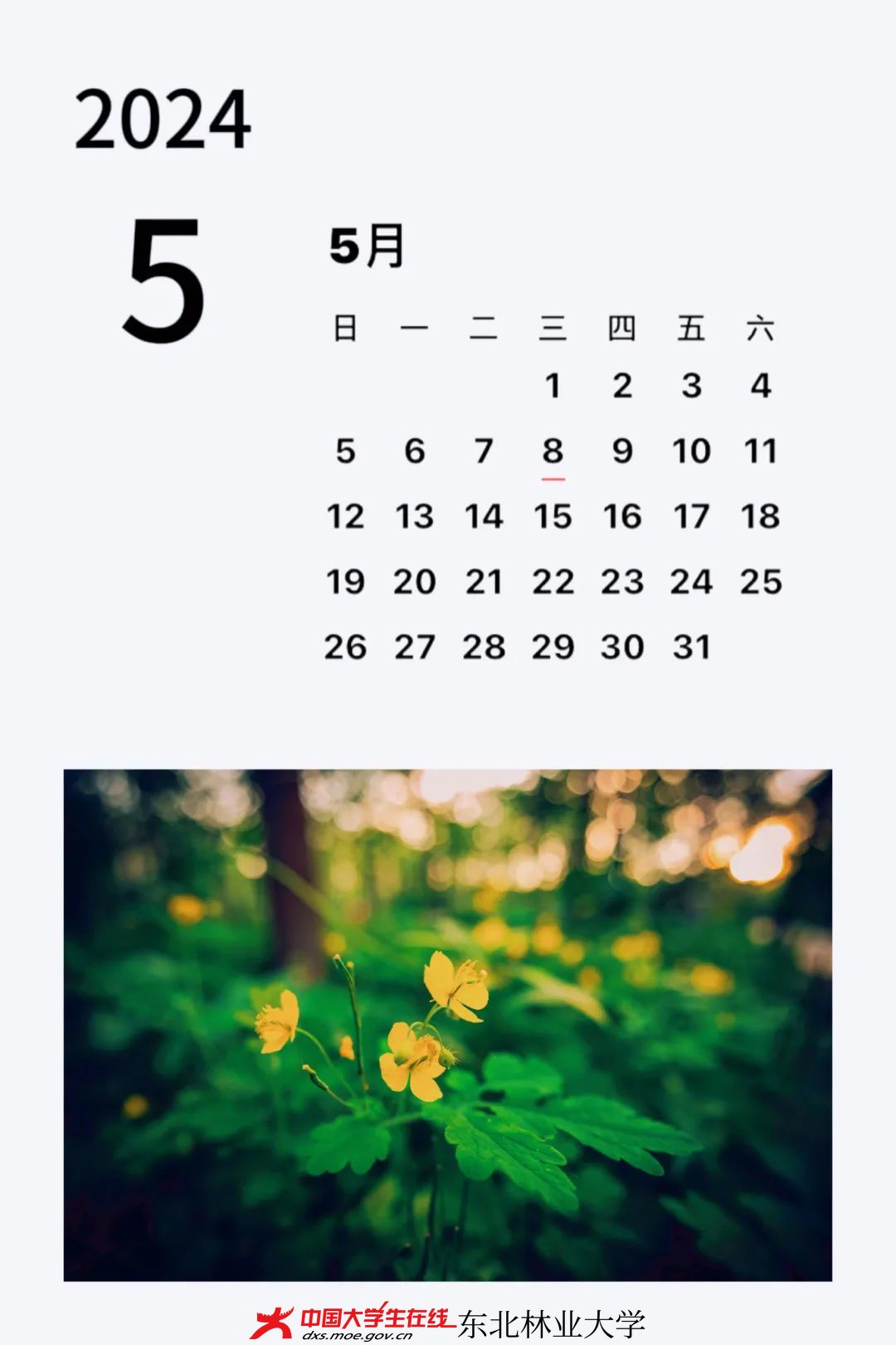 微信图片_20240428131025.jpg 微信图片_20240428131025.jpg