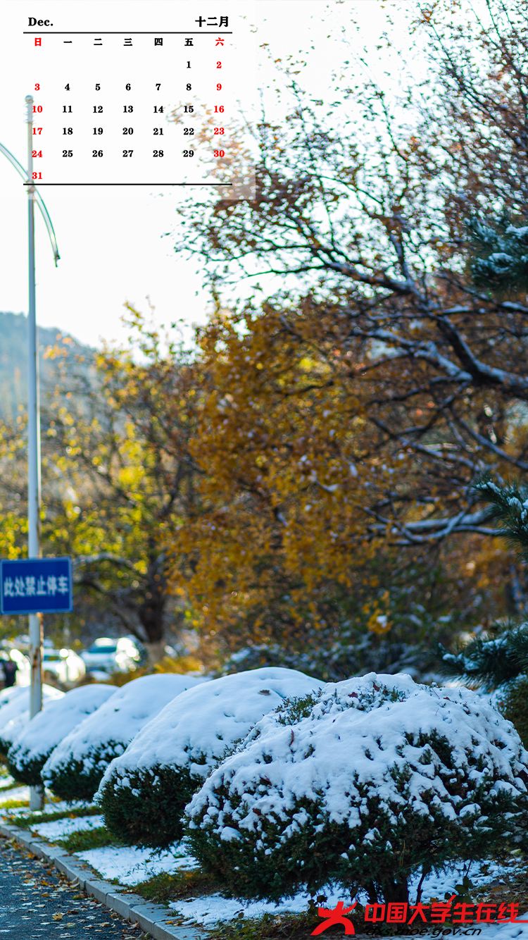 路边雪景图。张语良摄.png 路边雪景图。张语良摄.png