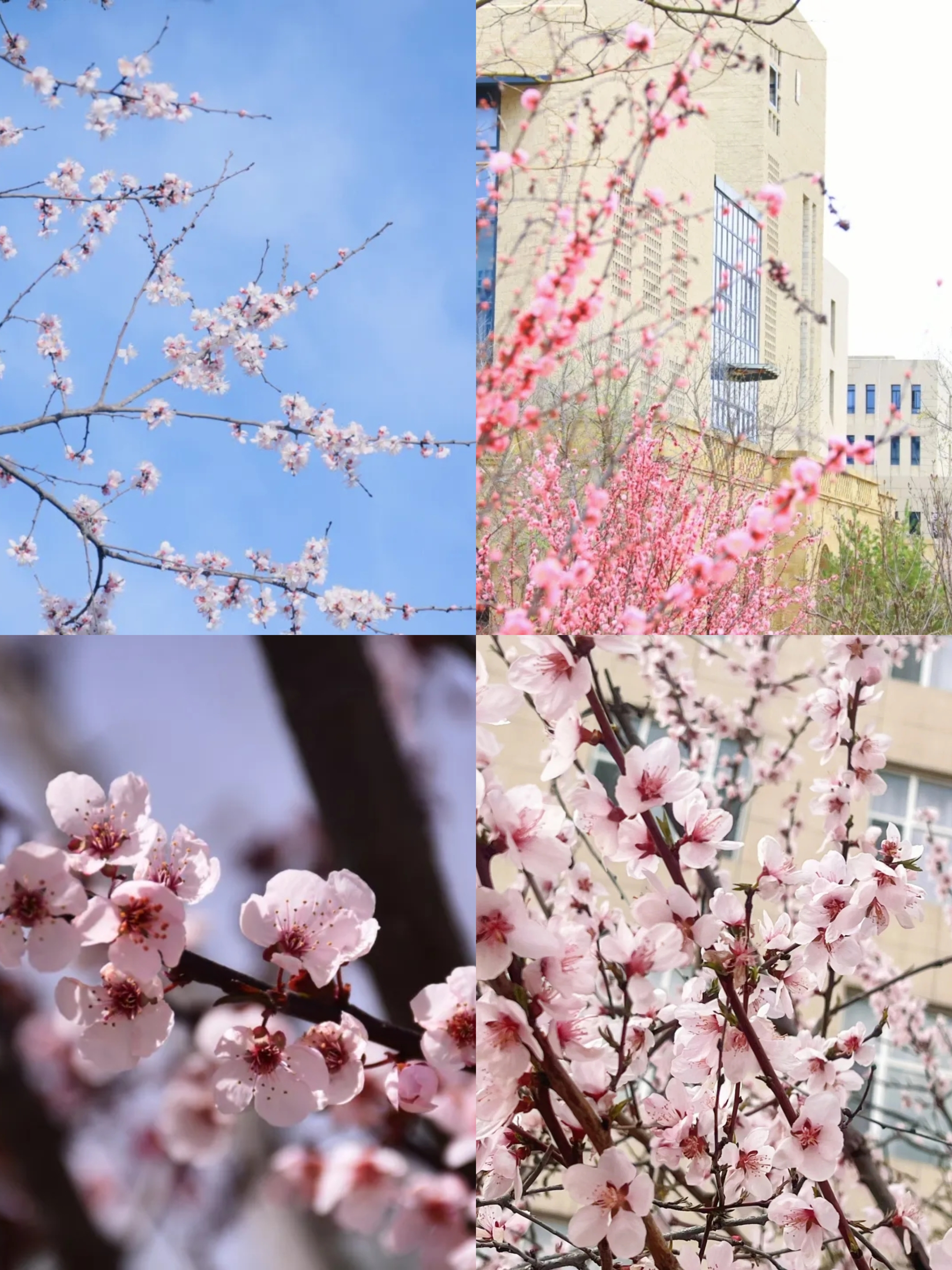 微信图片_20250414143116.jpg 微信图片_20250414143116.jpg
