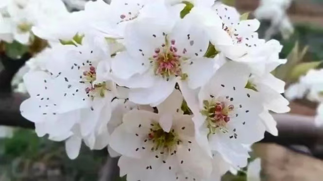 微信图片_20250422140147.jpg 微信图片_20250422140147.jpg