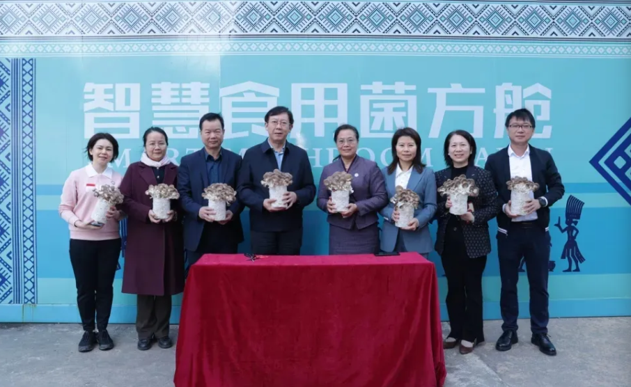 屏幕截图 2025-12-05 194300.png 屏幕截图 2025-12-05 194300.png