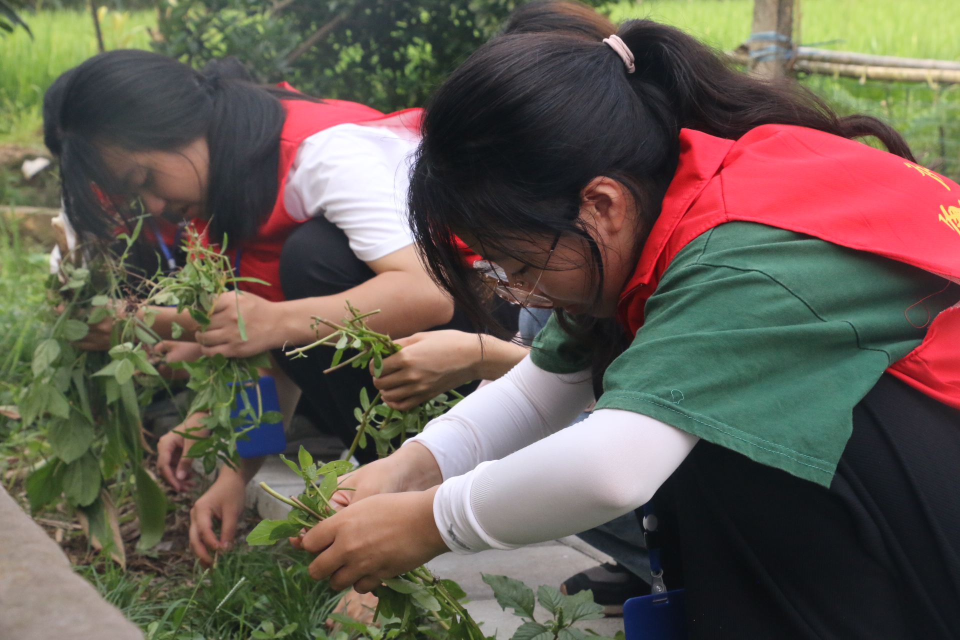 图7:团队成员参与新学村一月一次的村庄大清扫.JPG 图7:团队成员参与新学村一月一次的村庄大清扫.JPG