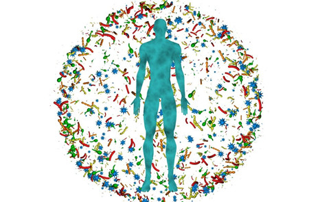 人体微生物.jpg