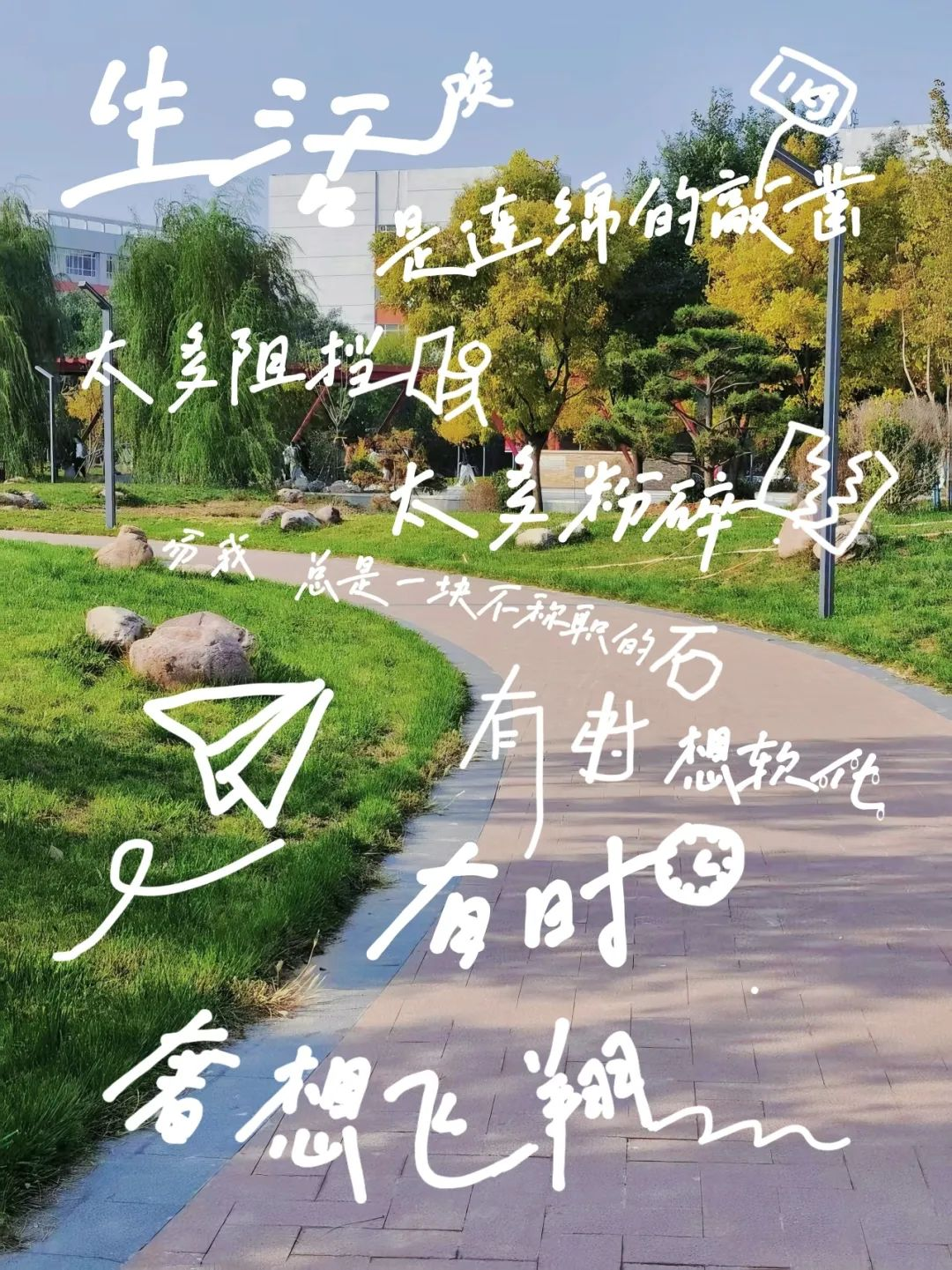 图片1.png 图片1.png