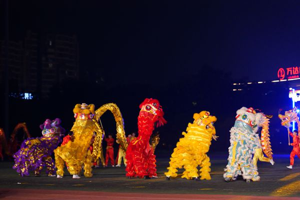 06《龙腾狮跃，点亮未来》节目（安徽师范大学 赵紫嫣 提供）