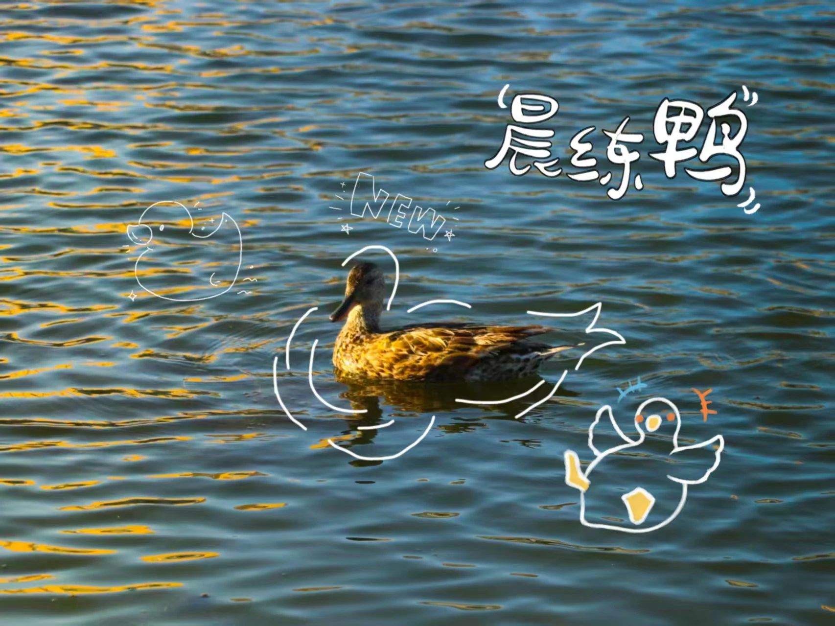 微信圖片_20250523210131.jpg