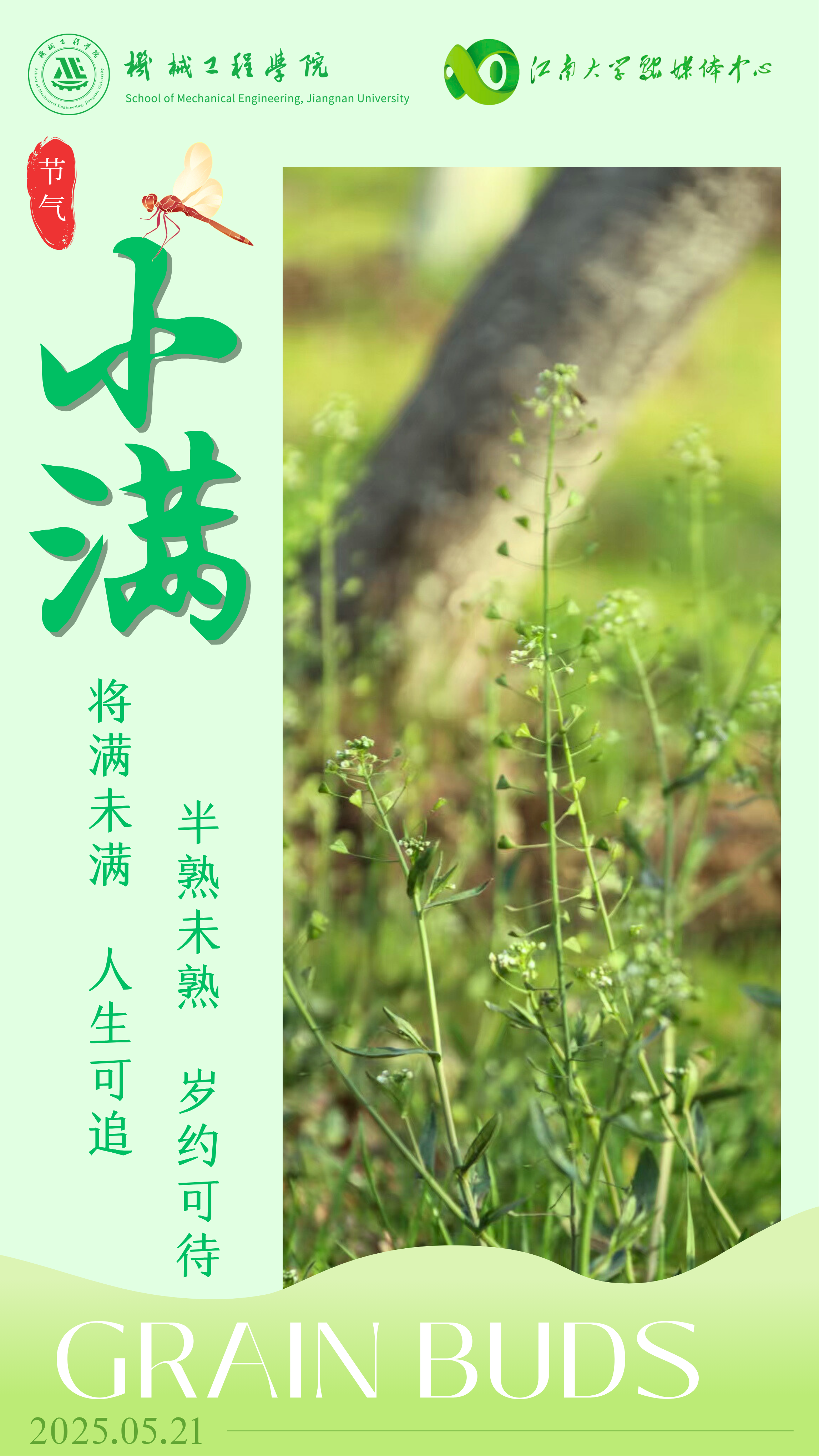 小满节气（图片来源：江南大学）