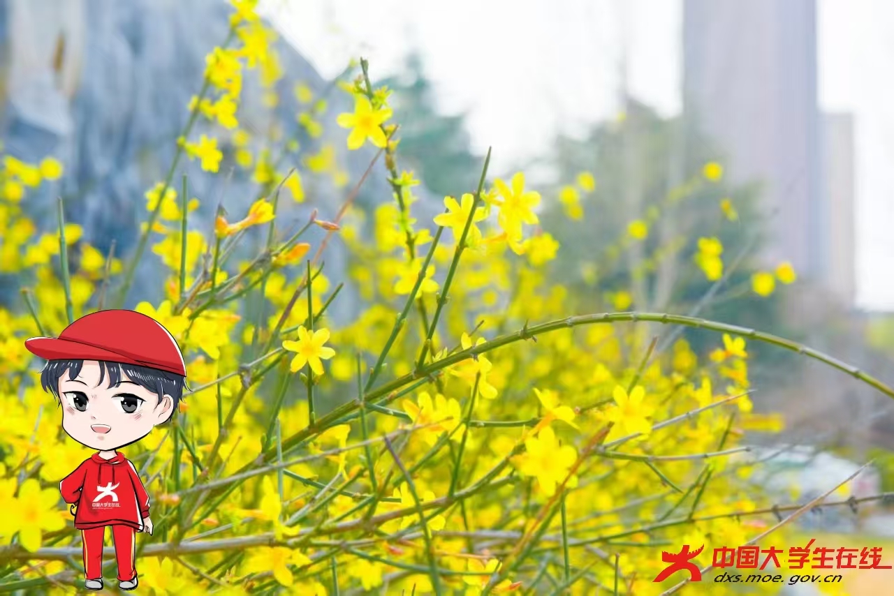 微信图片_202503142202202.jpg 微信图片_202503142202202.jpg